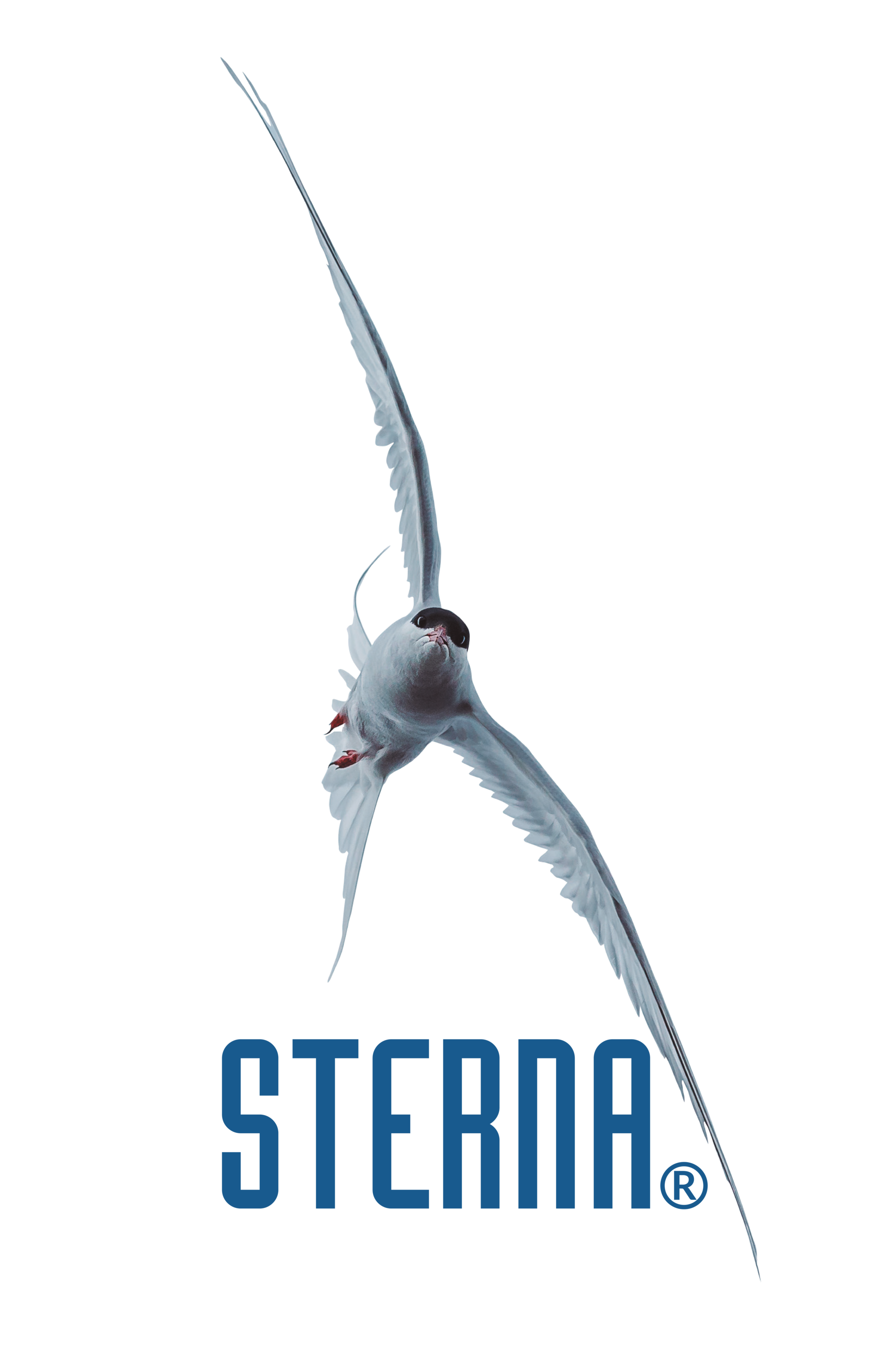 logo sterna